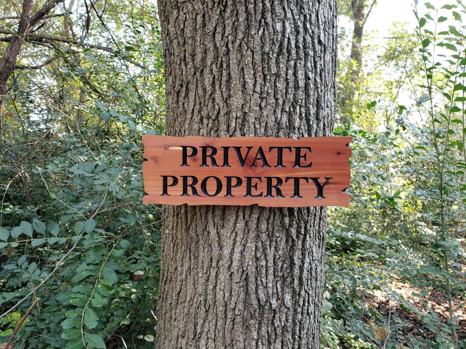 Private Property Carved Wooden Sign, Rustic Cedar or Cypress Outdoor Wood Plaque, CNC Carved Land Sign, Exterior Property Sign Carving