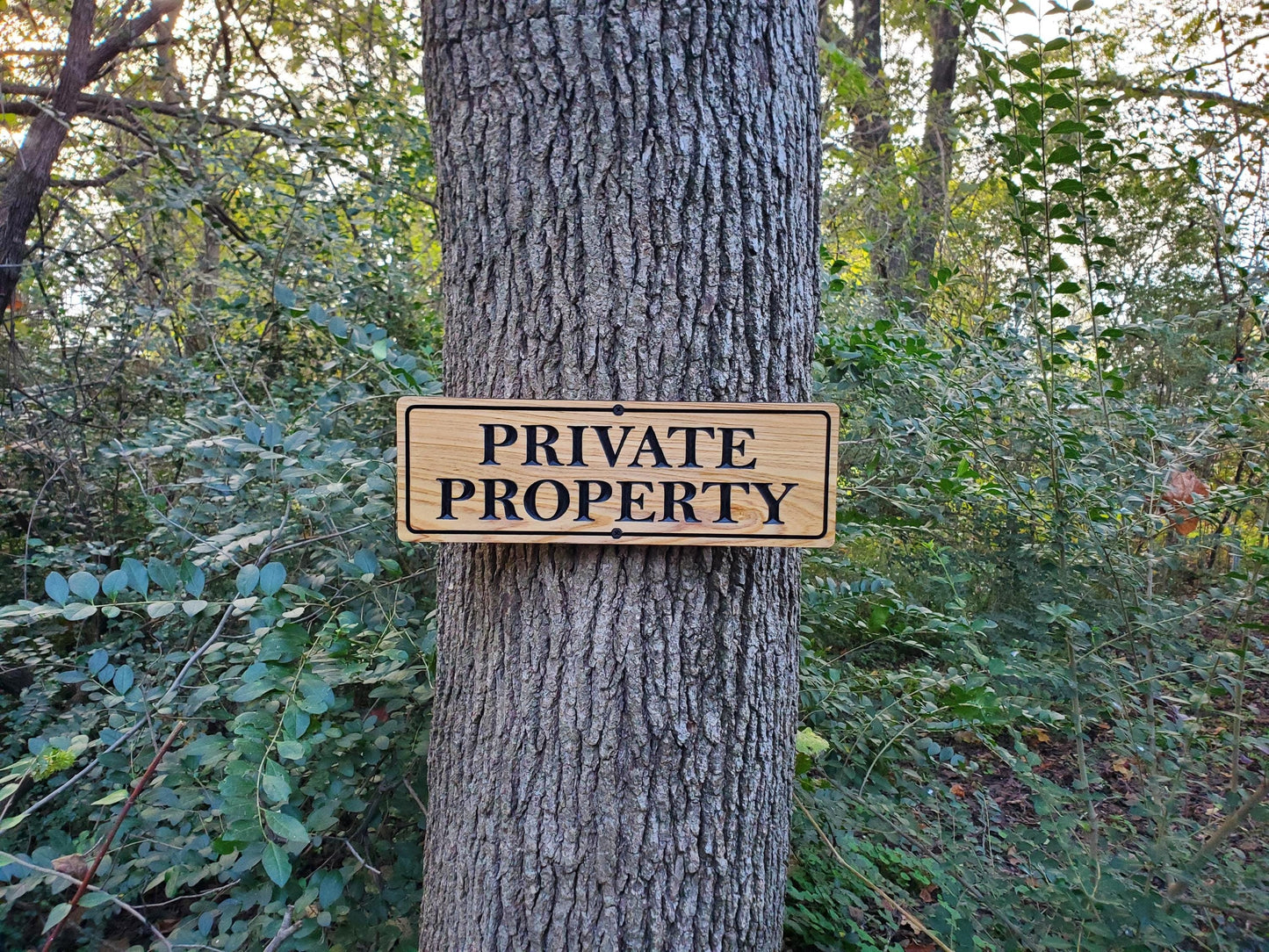 Private Property Carved Wooden Sign, Outdoor Wood Plaque, Land Owner Sign, Engraved Outside Exterior Carving, Cedar or Cypress