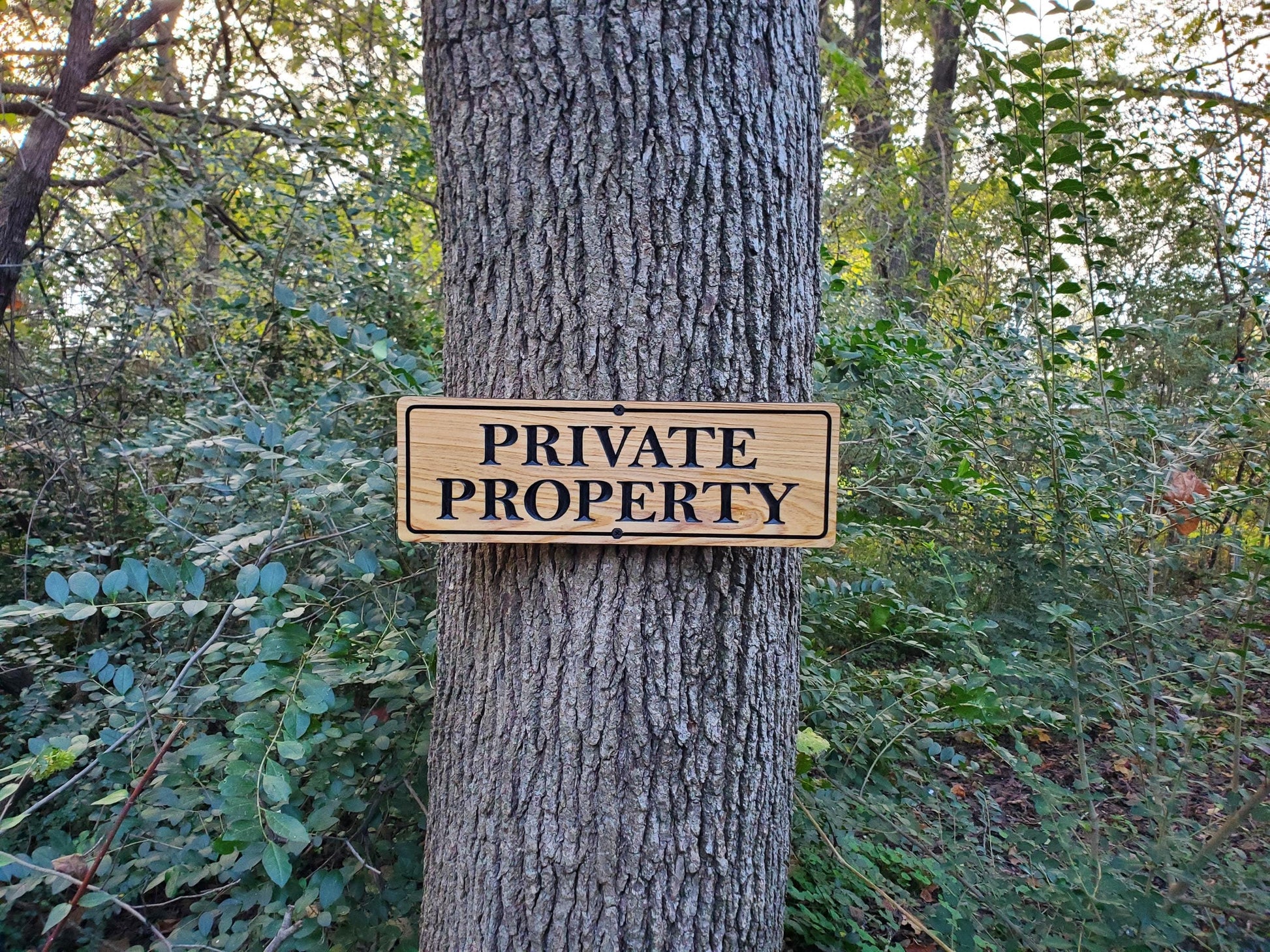 Private Property Carved Wooden Sign, Outdoor Wood Plaque, Land Owner Sign, Engraved Outside Exterior Carving, Cedar or Cypress