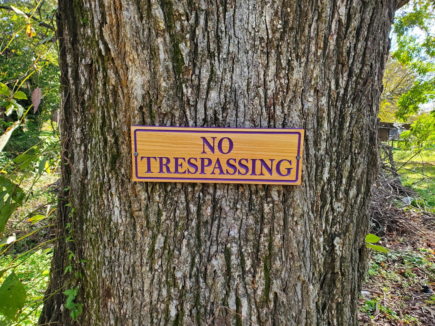 No Trespassing Wooden Sign, Purple Paint Hunters Posted Sign, Carved Cedar Outdoor Wood Plaque, Easy Mount Custom Carved Land Carving
