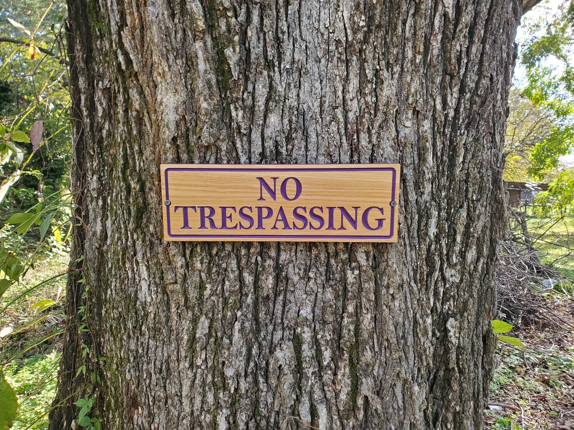 No Trespassing Wooden Sign, Purple Paint Hunters Posted Sign, Carved Cedar Outdoor Wood Plaque, Easy Mount Custom Carved Land Carving