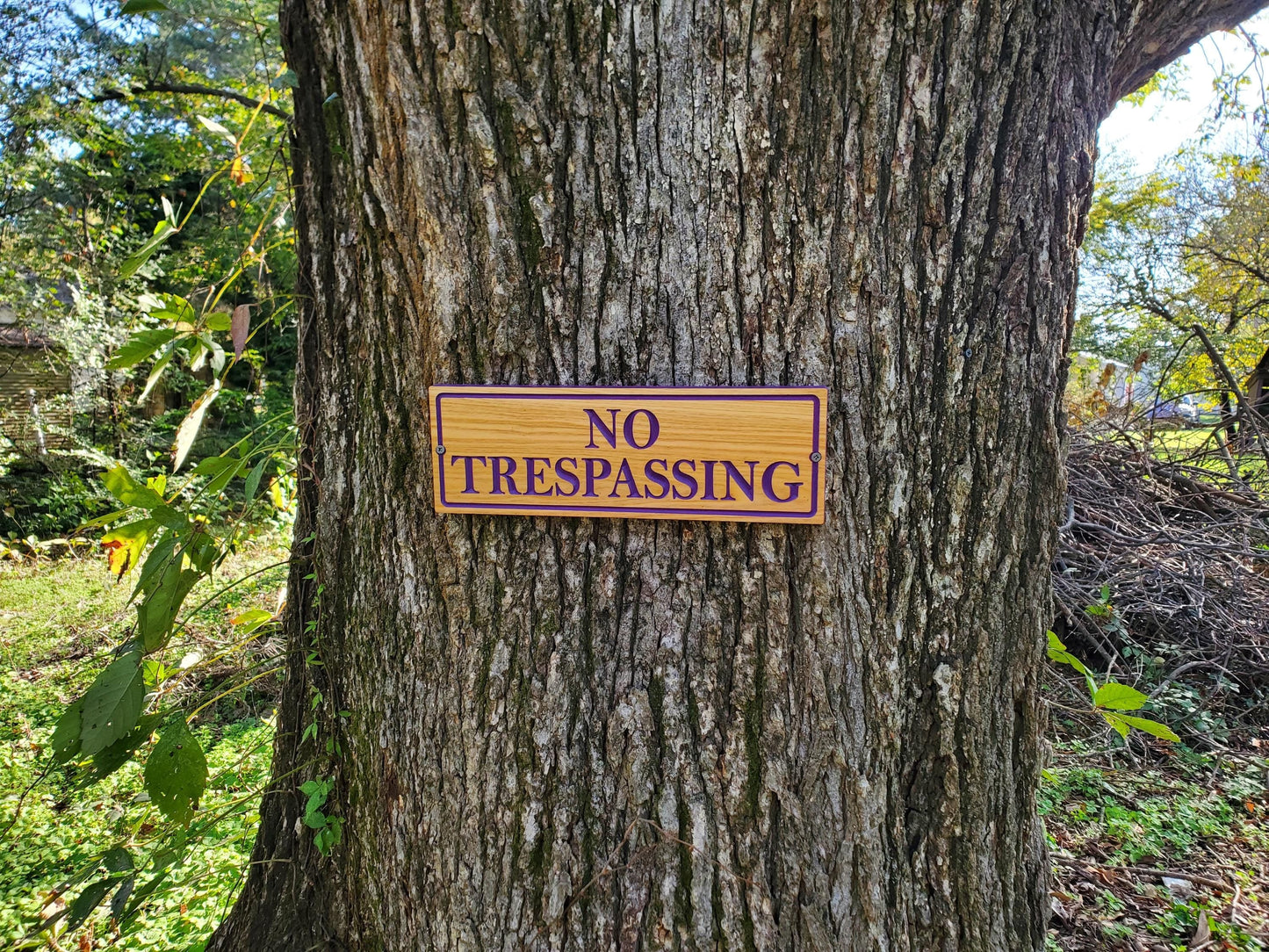 No Trespassing Wooden Sign, Purple Paint Hunters Posted Sign, Carved Cedar Outdoor Wood Plaque, Easy Mount Custom Carved Land Carving
