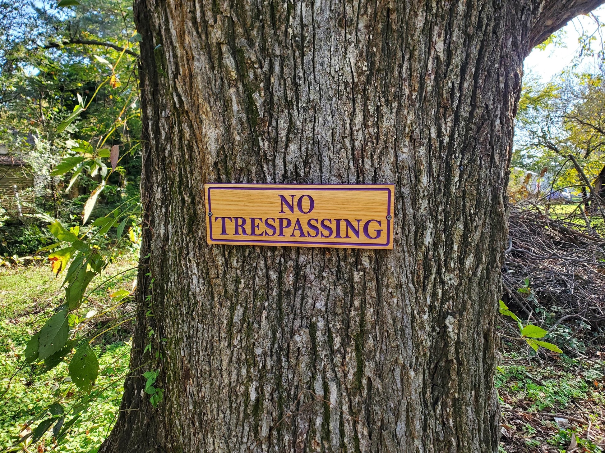 No Trespassing Wooden Sign, Purple Paint Hunters Posted Sign, Carved Cedar Outdoor Wood Plaque, Easy Mount Custom Carved Land Carving