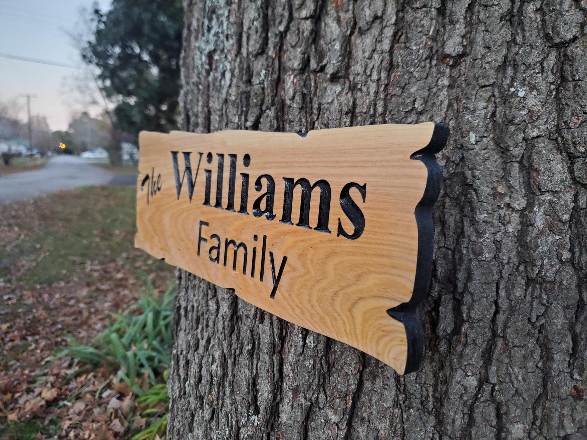 Custom Rustic Family Name Sign, Personalized Wooden Carved Plaque, Customized Solid Exterior Wood, Lake Cabin Customizable Carved Wood Sign