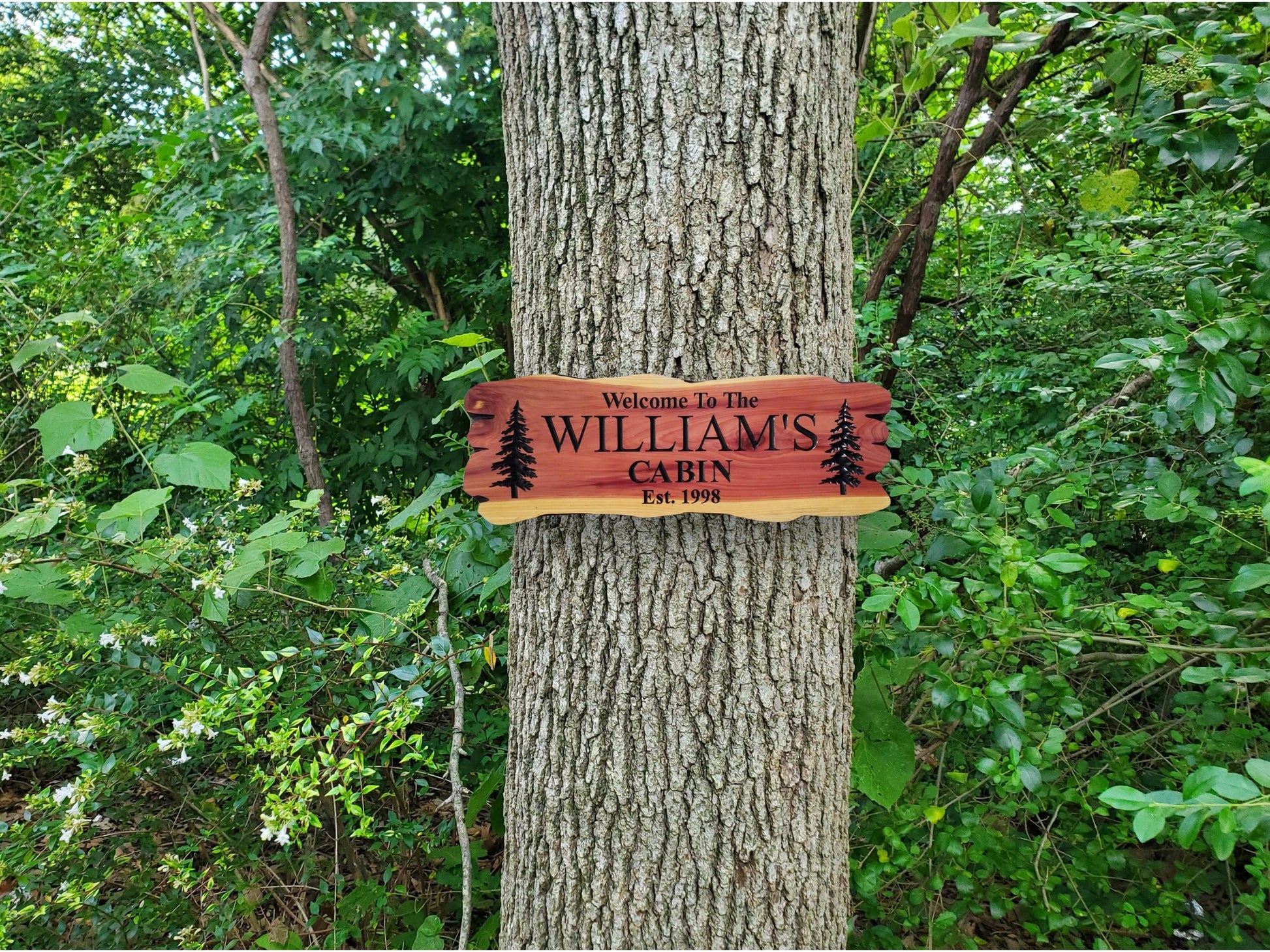 Outdoor Custom Family Name Cabin Sign, Personalized Rustic Exterior Wooden Plaque, Last Name Established Date Carved Wood Outside Sign