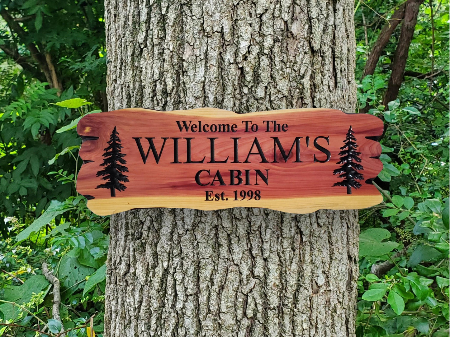 Outdoor Custom Family Name Cabin Sign, Personalized Rustic Exterior Wooden Plaque, Last Name Established Date Carved Wood Outside Sign