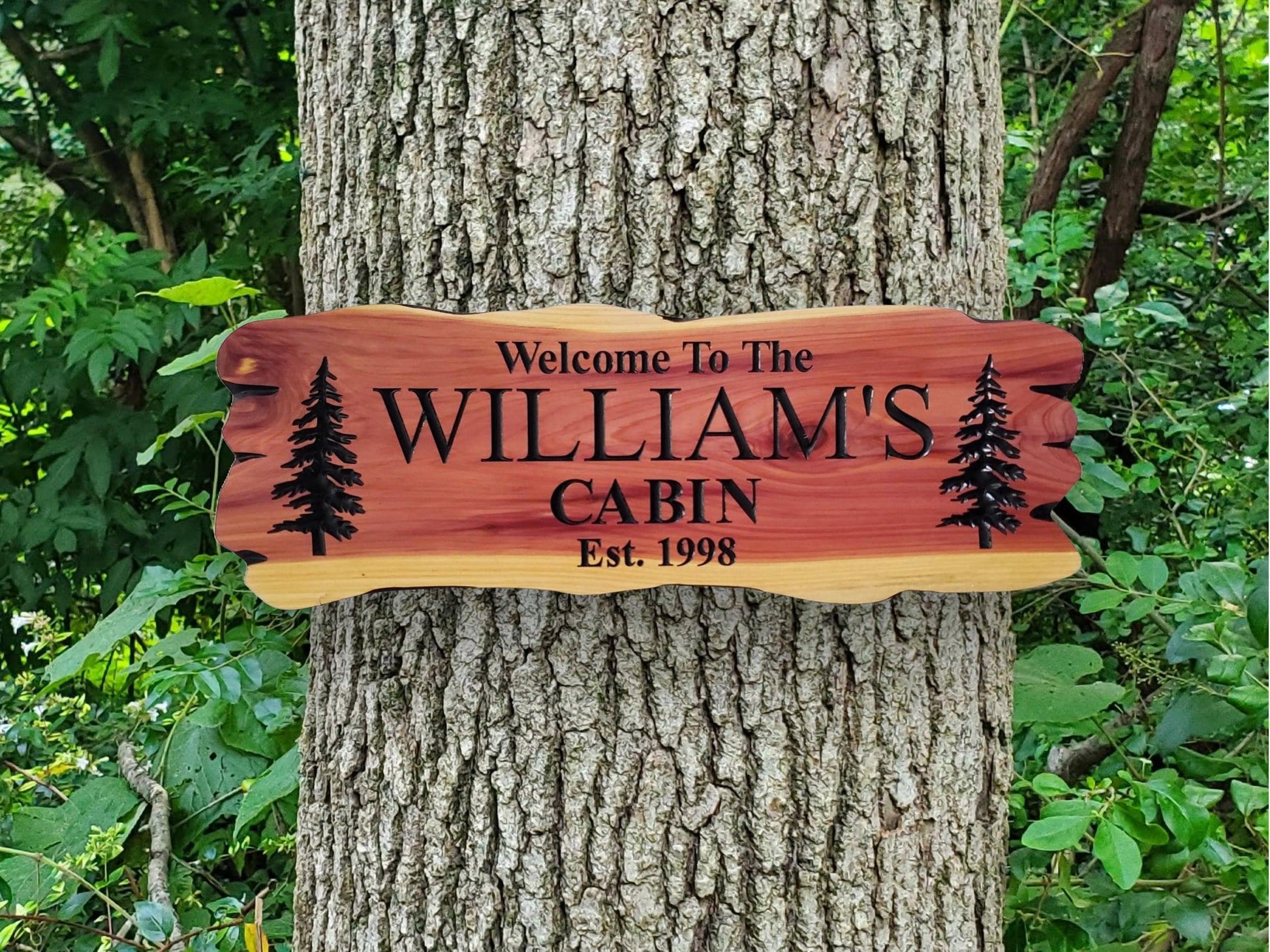 Outdoor Custom Family Name Cabin Sign, Personalized Rustic Exterior Wooden Plaque, Last Name Established Date Carved Wood Outside Sign