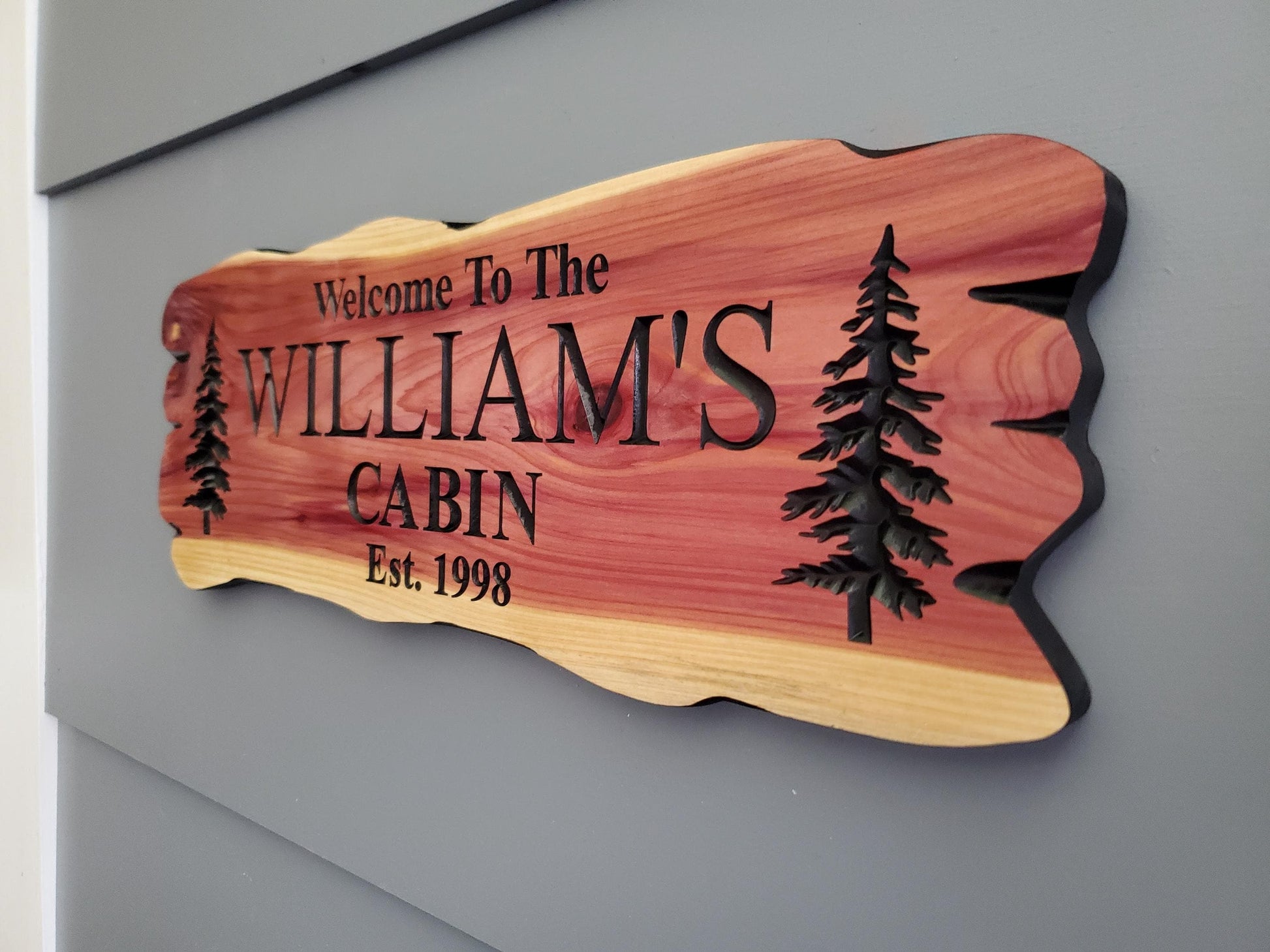 Outdoor Custom Family Name Cabin Sign, Personalized Rustic Exterior Wooden Plaque, Last Name Established Date Carved Wood Outside Sign