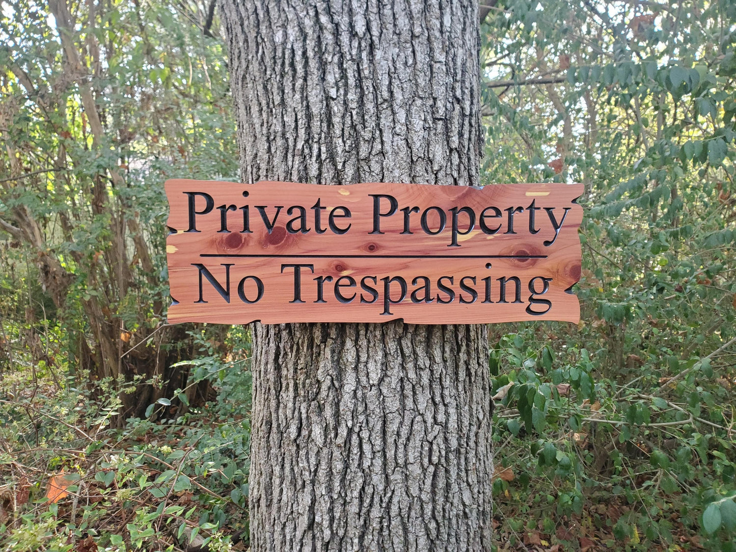 Private Property No Trespassing Carved Rustic Sign, Outdoor Posted Land Sign, Cypress Cedar Wood Plaque, CNC Carved Wooden, Exterior Outside