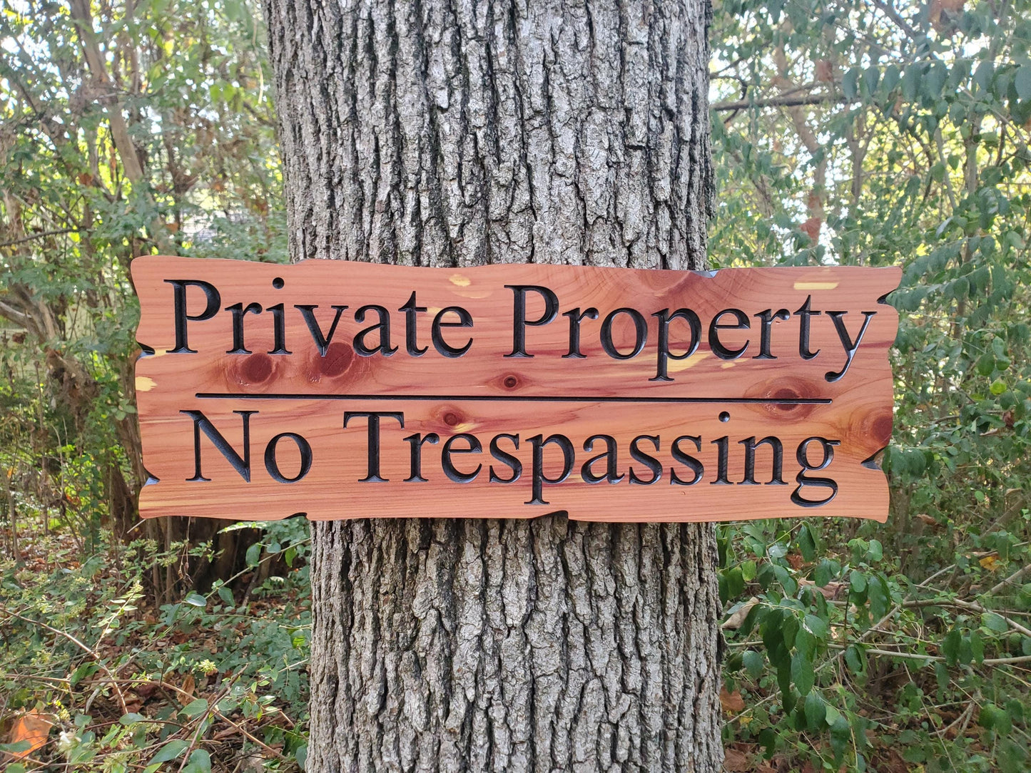 Private Property No Trespassing Carved Rustic Sign, Outdoor Posted Land Sign, Cypress Cedar Wood Plaque, CNC Carved Wooden, Exterior Outside