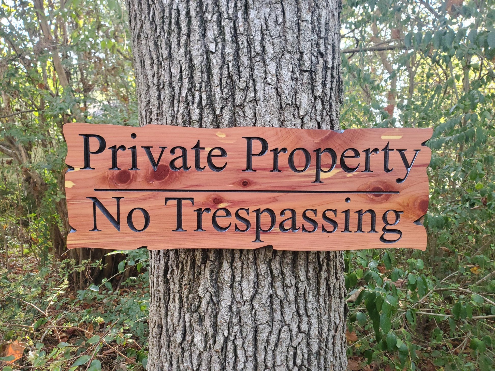 Private Property No Trespassing Carved Rustic Sign, Outdoor Posted Land Sign, Cypress Cedar Wood Plaque, CNC Carved Wooden, Exterior Outside