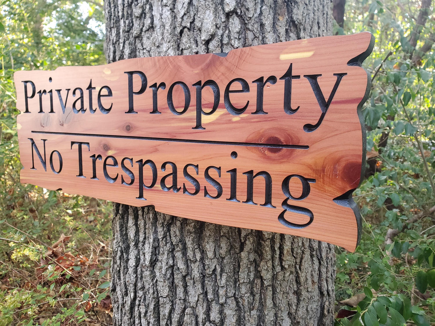 Private Property No Trespassing Carved Rustic Sign, Outdoor Posted Land Sign, Cypress Cedar Wood Plaque, CNC Carved Wooden, Exterior Outside