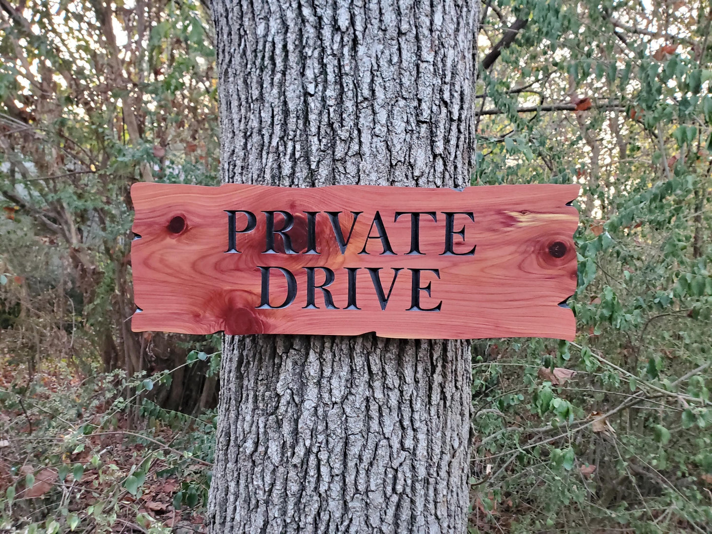Private Drive Carved Wooden Sign, Rustic Driveway Plaque, Cedar Cypress Outdoor Wood, CNC Land Carving, Exterior Property Sign Carving