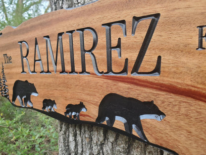 Rustic Family Name Sign, Personalized Wooden Plaque, Custom Outdoor Wood, Exterior Interior Decor, Last Name Wall Art, Mahogany Cedar Walnut