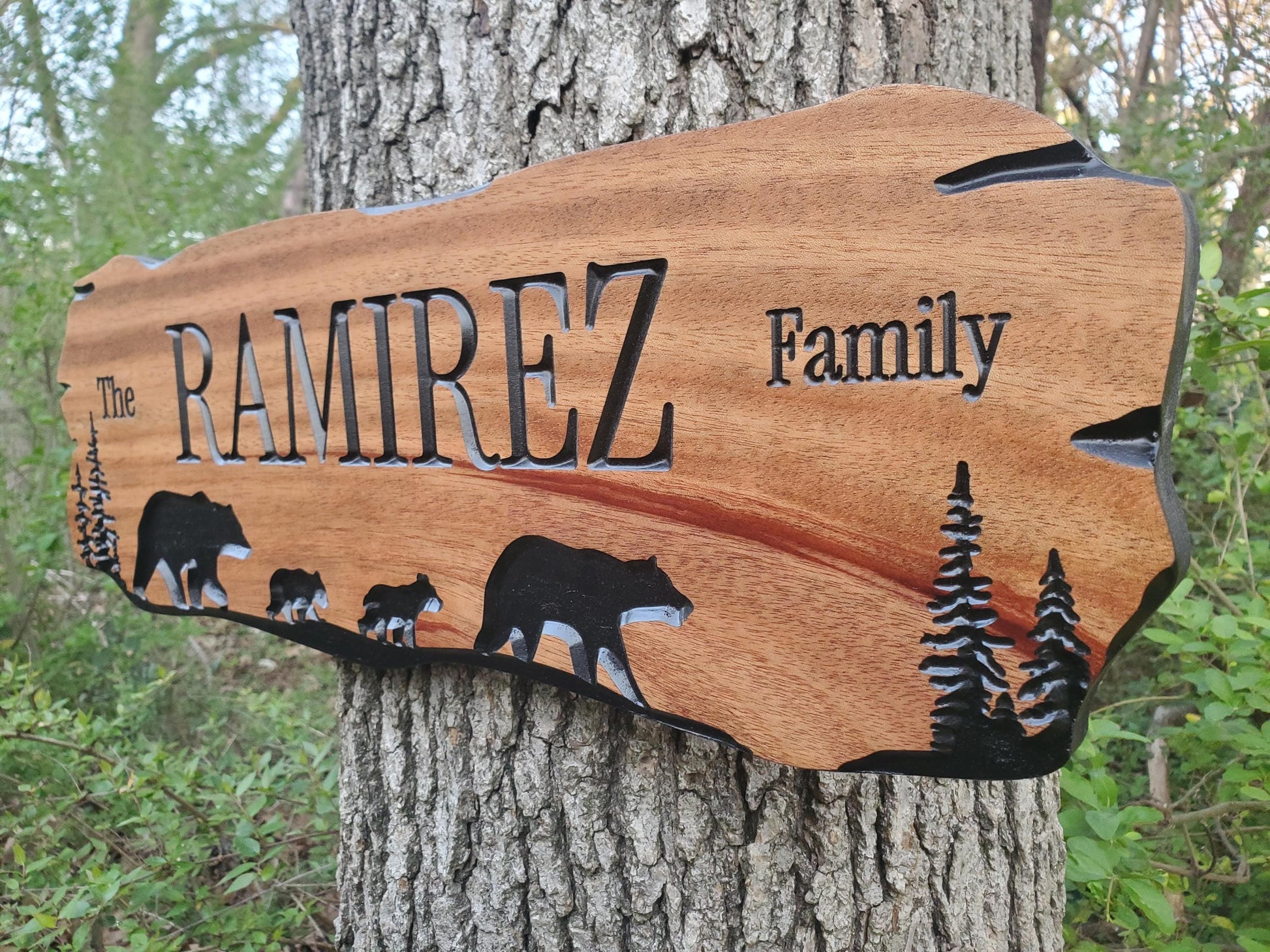 Rustic Family Name Sign, Personalized Wooden Plaque, Custom Outdoor Wood, Exterior Interior Decor, Last Name Wall Art, Mahogany Cedar Walnut