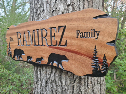 Rustic Family Name Sign, Personalized Wooden Plaque, Custom Outdoor Wood, Exterior Interior Decor, Last Name Wall Art, Mahogany Cedar Walnut