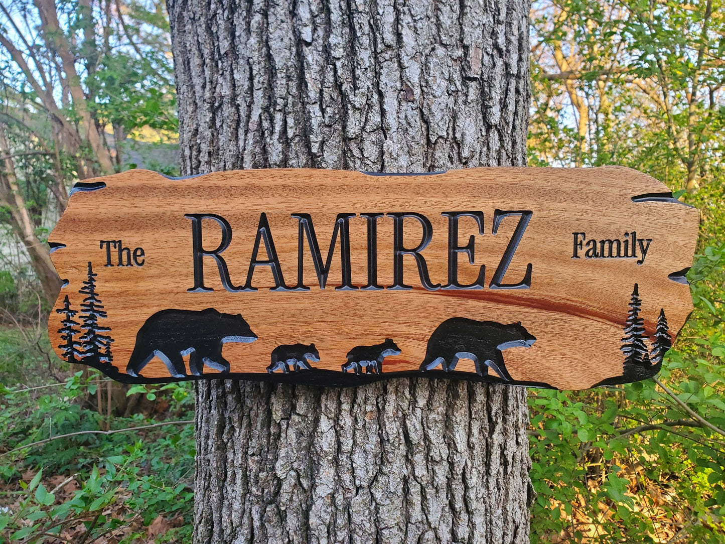 Rustic Family Name Sign, Personalized Wooden Plaque, Custom Outdoor Wood, Exterior Interior Decor, Last Name Wall Art, Mahogany Cedar Walnut