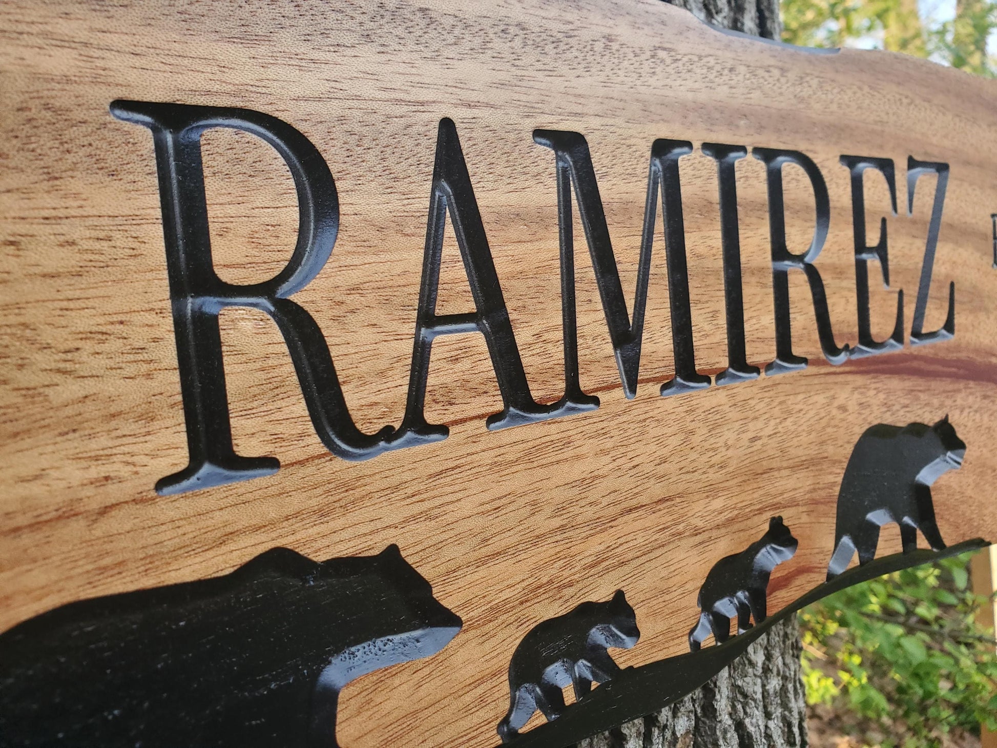 Rustic Family Name Sign, Personalized Wooden Plaque, Custom Outdoor Wood, Exterior Interior Decor, Last Name Wall Art, Mahogany Cedar Walnut