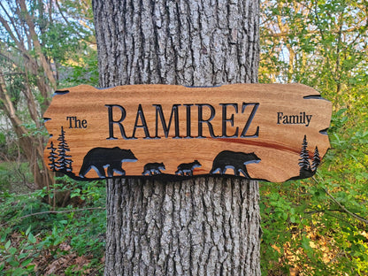 Rustic Family Name Sign, Personalized Wooden Plaque, Custom Outdoor Wood, Exterior Interior Decor, Last Name Wall Art, Mahogany Cedar Walnut